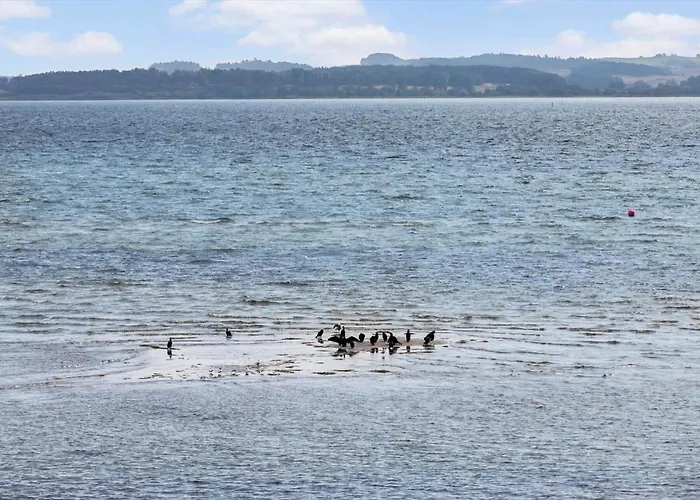 Hébergement de vacances 8131-ega-strandvangsvej-98 Egå